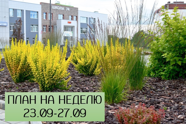 План на неделю 23.09-27.09 План на неделю 23.09-27.09.